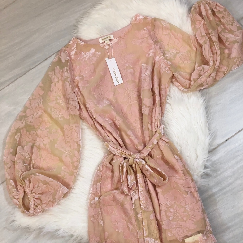 Yumi Kim Bellflower Dress in Blush - Picture 6 of 12